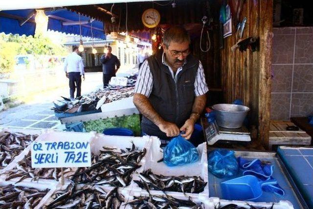 Balıkçı Esnafı Geçtiğimiz Yılı Mumla Arıyor