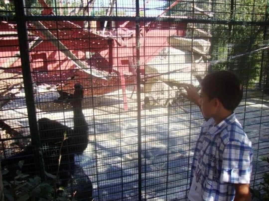 Engelli Vatandaşlar Gez-g&ouml;r İle Kenti Tanıdı