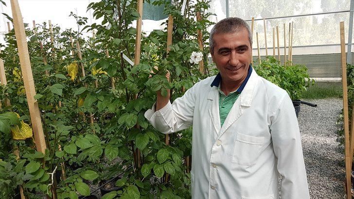 Türkiye'de üretildi! Görenler gözlerine inanamadı G3