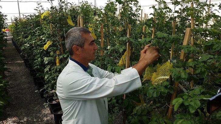 Türkiye'de üretildi! Görenler gözlerine inanamadı G4