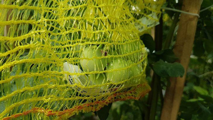 Türkiye'de üretildi! Görenler gözlerine inanamadı G5