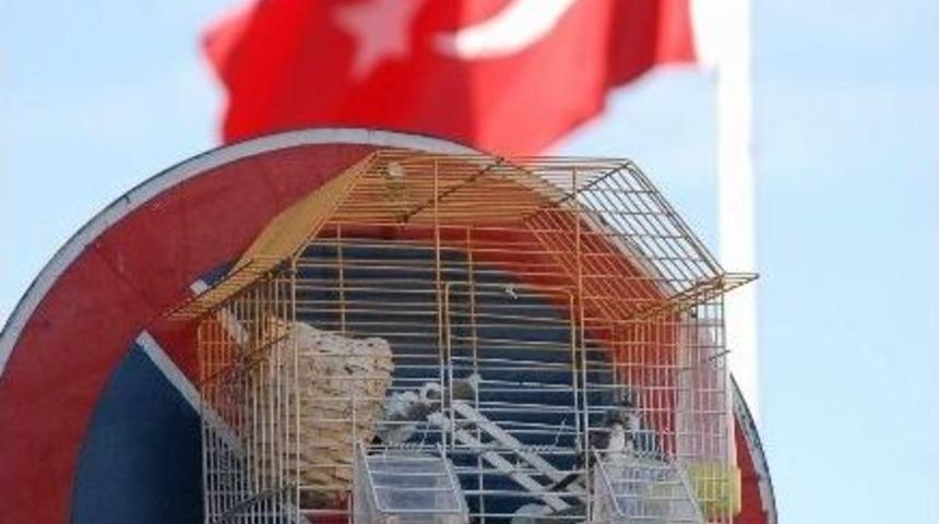 Park Yasağı Levhasında Kuş Kafesi