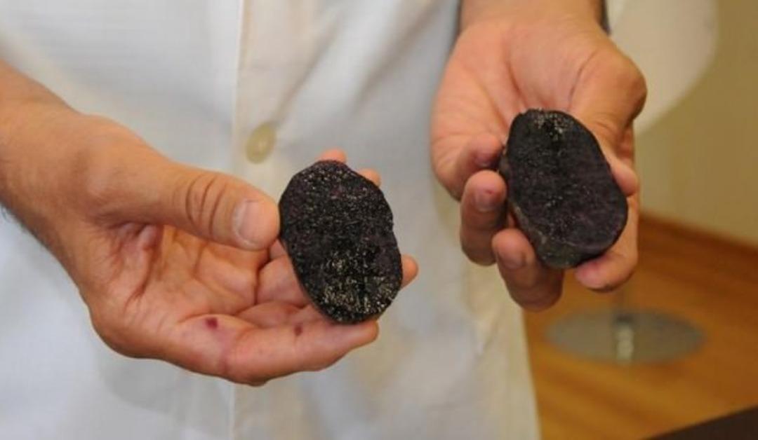 T&uuml;rkiye'de &uuml;retildi! G&ouml;renler g&ouml;zlerine inanamadı