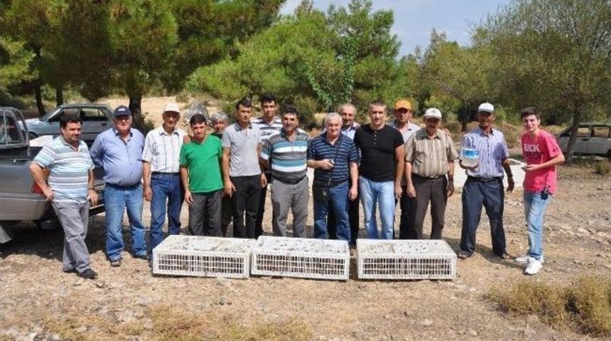 Kırkağa&ccedil;lı Avcılar&rsquo;dan Doğaya 300 Keklik