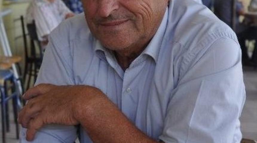K&ouml;y Halkı Ceviz İ&ccedil;in Seferber Oldu
