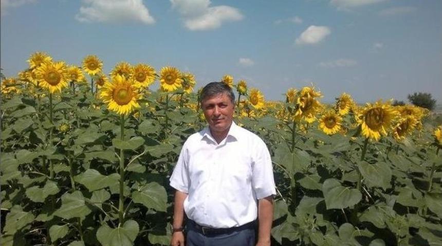 Şark&ouml;y İl&ccedil;e Tarım M&uuml;d&uuml;rl&uuml;ğ&uuml; G&ouml;revine Şemsettin Satar Atandı