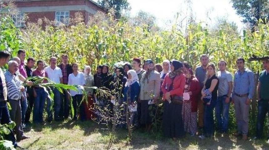 Kumru&rsquo;da &ldquo;&ccedil;ift&ccedil;i Tarla Okulu Projesi&rdquo; Uygulaması
