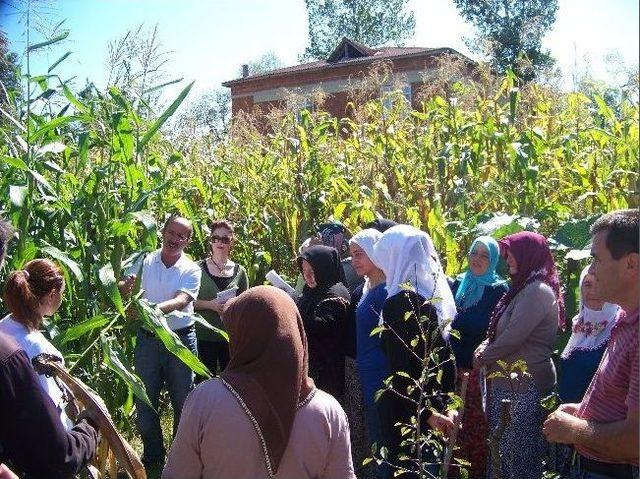 Kumru&rsquo;da &ldquo;&ccedil;ift&ccedil;i Tarla Okulu Projesi&rdquo; Uygulaması 1