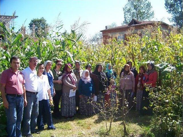 Kumru&rsquo;da &ldquo;&ccedil;ift&ccedil;i Tarla Okulu Projesi&rdquo; Uygulaması 2