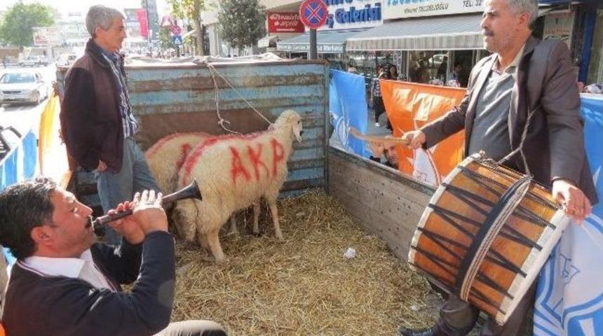 Başbakan İ&ccedil;in Kesilecek Ko&ccedil;lar Hazır