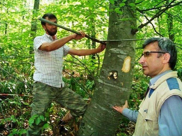 Aday Mühendislere Arazi Eğitimi Verildi