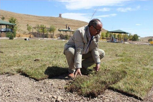 Ağrı Belediye Başkanı Arslan, Park Çimlerini Elleriyle Döşedi