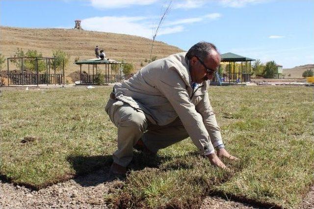 Ağrı Belediye Başkanı Arslan, Park Çimlerini Elleriyle Döşedi