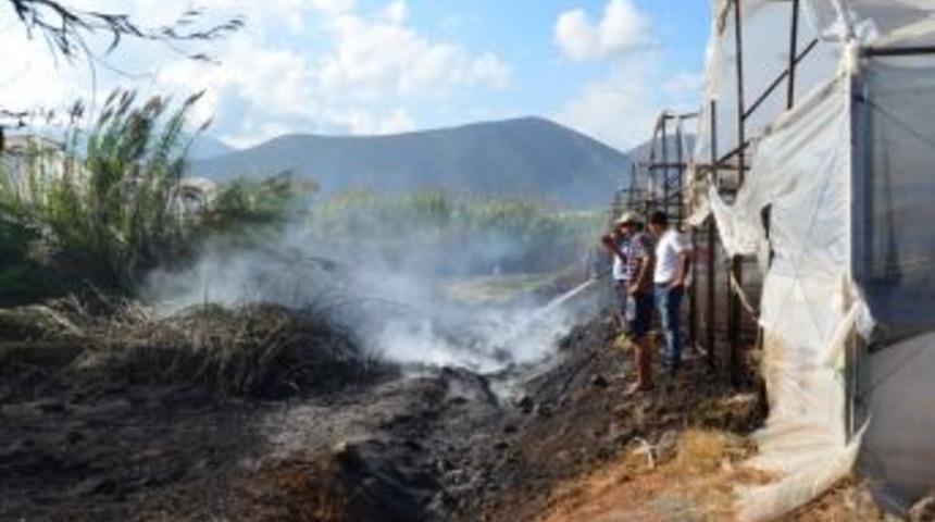 Otları da yaktı seraları da