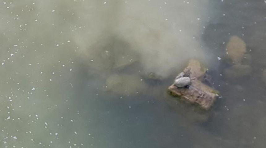 Osmaniye'de depremden sonra ortaya çıktı! Savrun Çayı'nda çamur kaynamaya başladı!