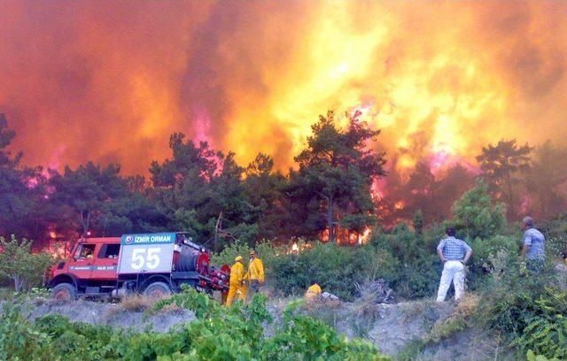 Orman Yangınları Her Yıl 16 Derslikli 120 Okula Mal Oluyor