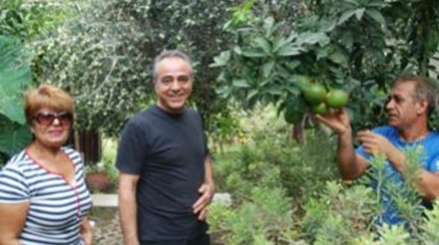 Oteli tropik meyve bah&ccedil;esine d&ouml;n&uuml;şt&uuml;rd&uuml;