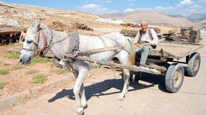 20 Yıl At S&uuml;rerek Ekmeğini Kazandı