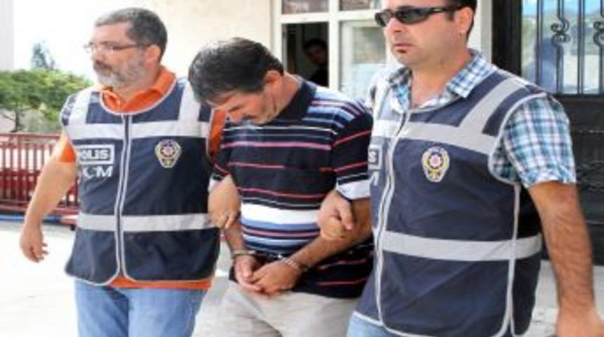 Mısır Tarlasında Kenevir Yetiştirmiş