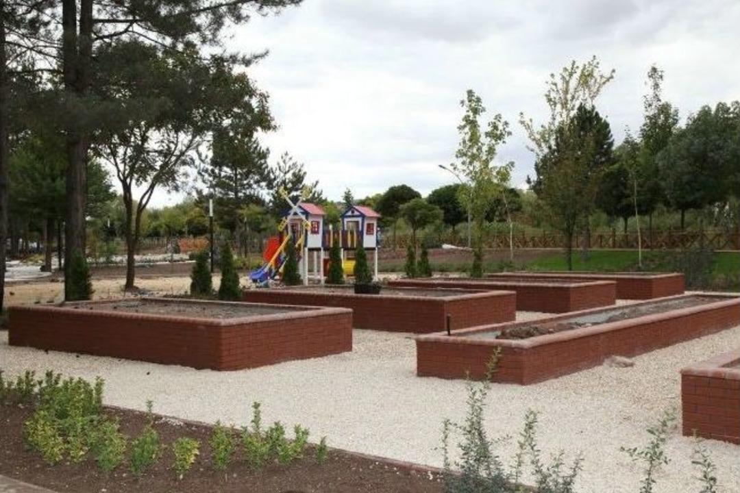 Botanik Parkında Sona Yaklaşıldı