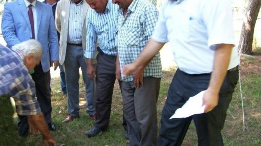 Manisalı &Ccedil;ift&ccedil;ilere Damızlık Ko&ccedil; Dağıtıldı