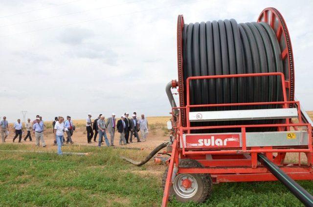 GAP Çiftçisi Yeni Sulama Yöntemine Geçiyor