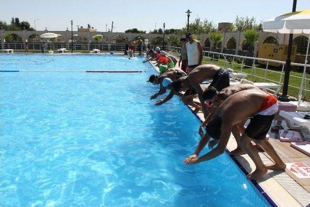 Ücretsiz Yüzme Havuzları Boğulmaların Önüne Geçti