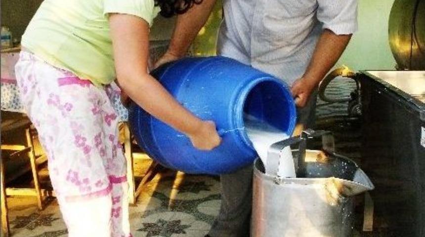 S&uuml;t Desteklemeleri Hesaplara Yattı