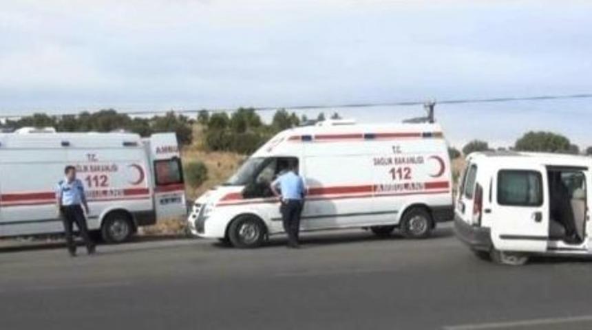 Araca Giren Arıyı Kovalarken Kaza Yaptılar