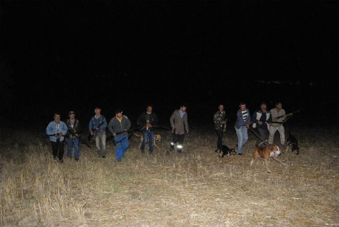 Tekirdağ&rsquo;da Kurt Ve Domuz N&ouml;beti