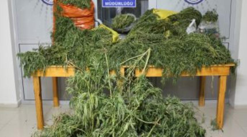 Osmaniye'de 40 Kg. Esrar Ele Gi&ccedil;irildi