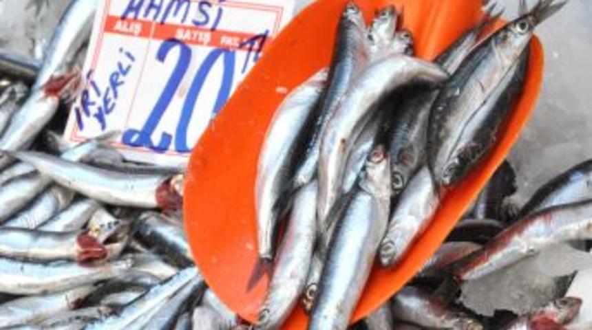 Hamsinin Fiyatı Cep Yakıyor