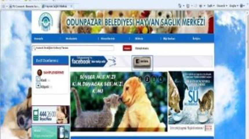 &lsquo;internetten Hayvan Sahiplen&rsquo; &Ccedil;ağrısı