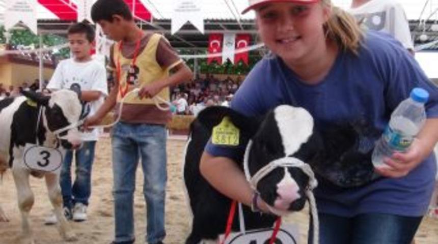 Edirne&rsquo;nin En G&uuml;zel Ineği 'Ebru' Oldu