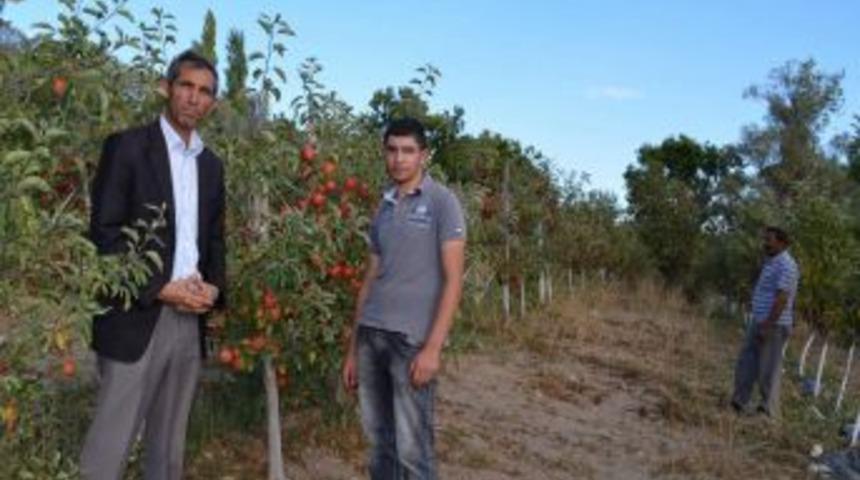 Sarıkayalı &Ccedil;ift&ccedil;iler Alternatif &Uuml;r&uuml;n Olarak Meyveciliğe Y&ouml;neldi