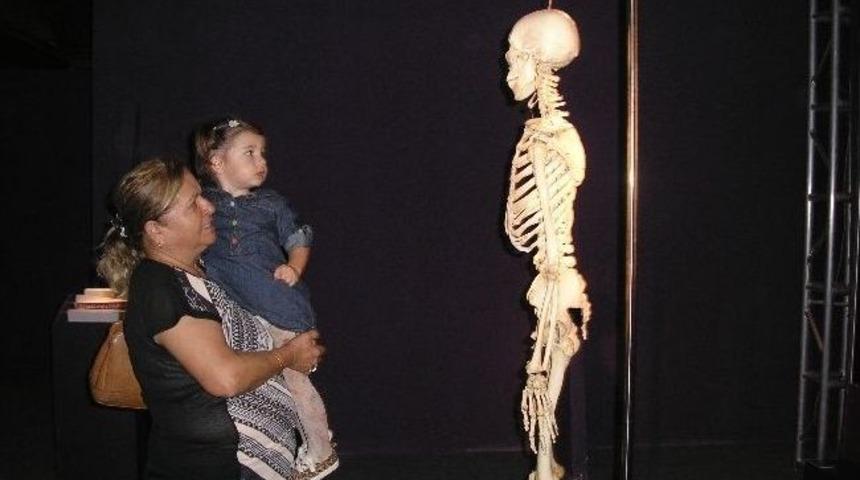 Human Body Exhıbıtıon İzmir&rsquo;de Ziyarete A&ccedil;ıldı