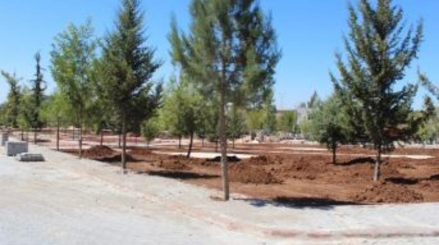 Sarı&ccedil;am'a 6,5 D&ouml;n&uuml;ml&uuml;k Park