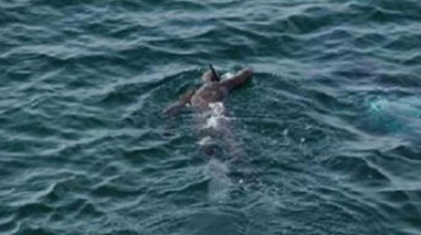Trabzon'da denizde bir kadın cesedi bulundu