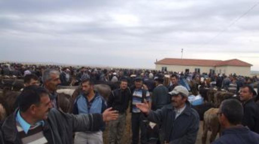 Boğazlıyan&rsquo;da Kurbanlıklar G&ouml;r&uuml;c&uuml;ye &Ccedil;ıktı