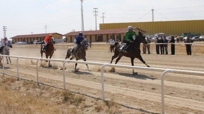 Konya&rsquo;da 21. Geleneksel Mahalli At Yarışları Başladı