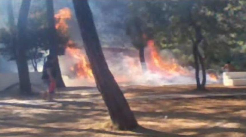 Orman Kampında Yangın Paniği