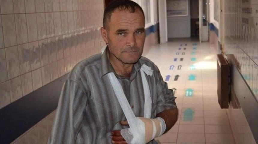 Ağa&ccedil; Keserken Biri Elini, Diğeri Ayağını Kesti