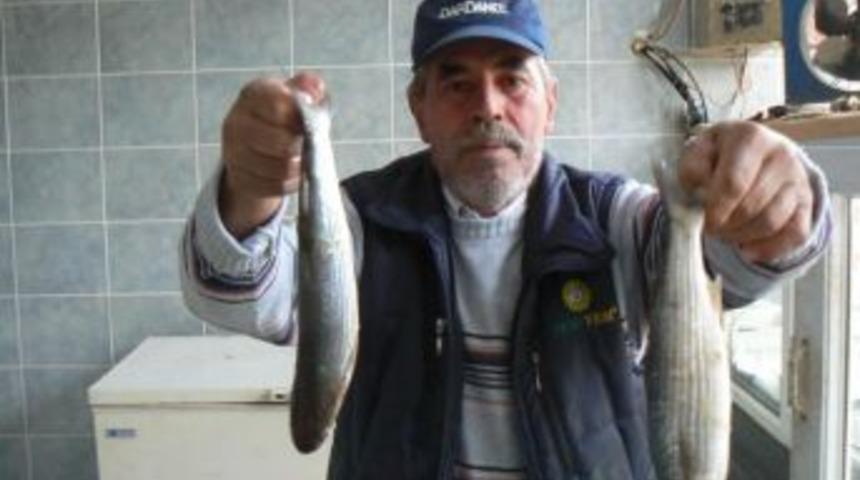 B&uuml;c&uuml;rmene Dalyan G&ouml;l&uuml;'ndeki Mineraller Kefalin Lezzetine Yansıyor