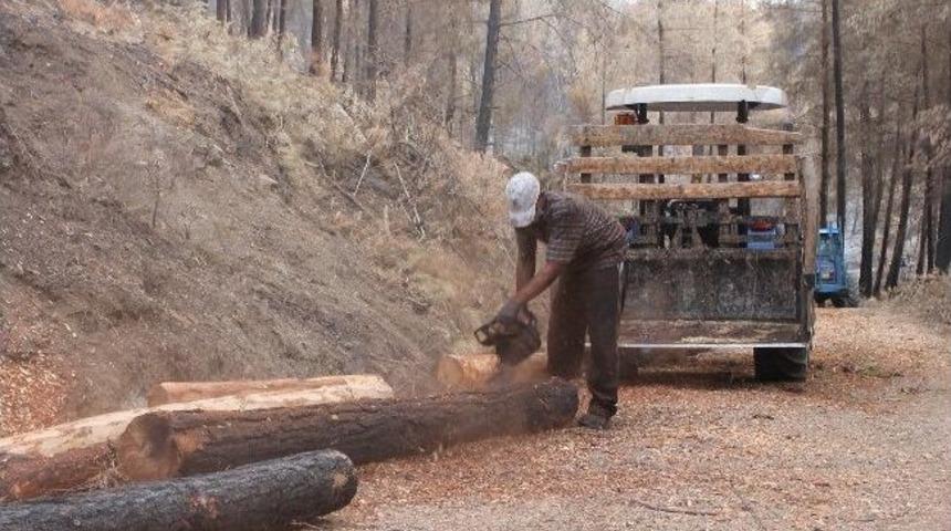 Yanan Alanların Temizliği Başladı