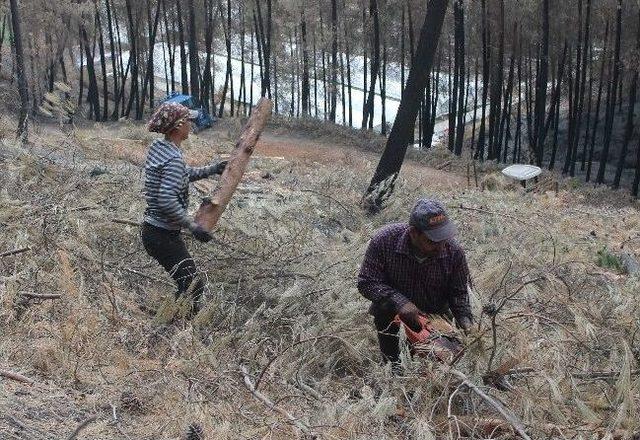 Yanan Alanların Temizliği Başladı