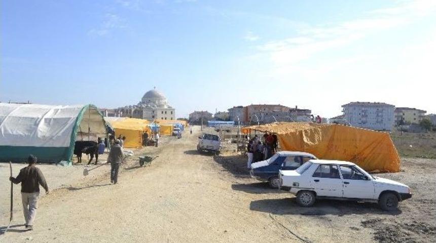 Çerkezköy’de Kurbanlık Satış Yeri Belli Oldu