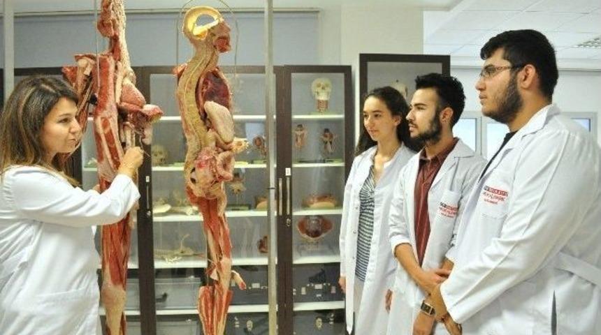 İzmir &Uuml;niversitesi Tıp Fak&uuml;ltesi &Ouml;ğrencileri &lsquo;plastine&rsquo; Kadavra İle Tanıştı