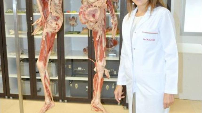 İzmir &Uuml;niversitesi Tıp Fak&uuml;ltesi &Ouml;ğrencileri &lsquo;plastine Kadavra' Ile Tanıştı