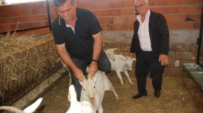 Güzelliğin Sırrı 'beslenmede'