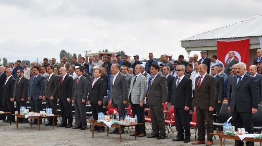 Şeker Pancarı Alımı Başladı